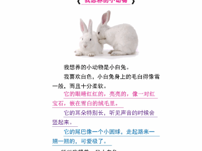 二年级下册语文第七单元习作范文【我想养的小动物】