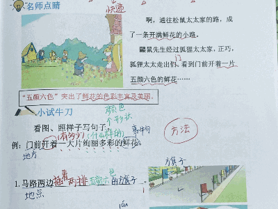 二年级下册第三节开满鲜花的路