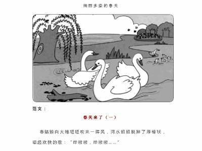 一二年级各类看图写话范文50篇精选