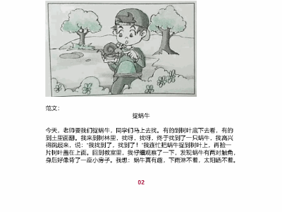 一二年级看图写话满分范文精选50篇